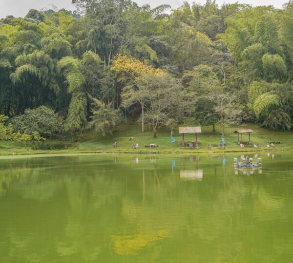 Mesa de trabajo 2-100