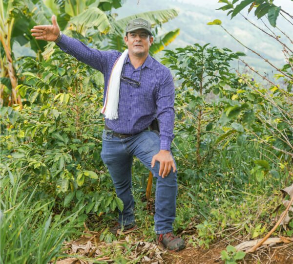 Mesa de trabajo 2 copia-100