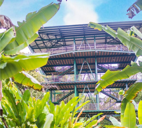 Mesa de trabajo 2 copia 2-100