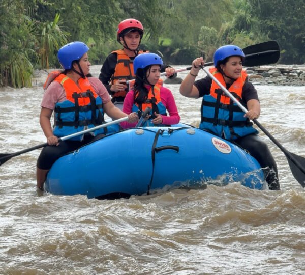 Mesa de trabajo 2 copia 3-100
